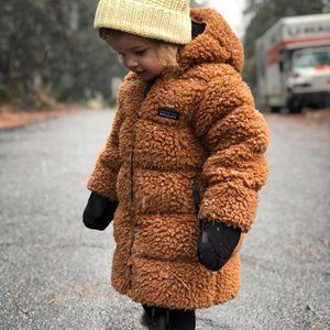 Patagonia Recycled Hi-Loft Parka